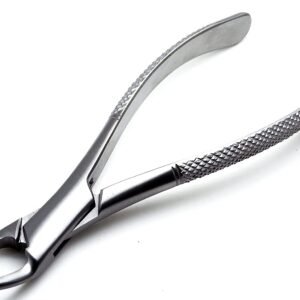 Extracting Forceps American Pattern